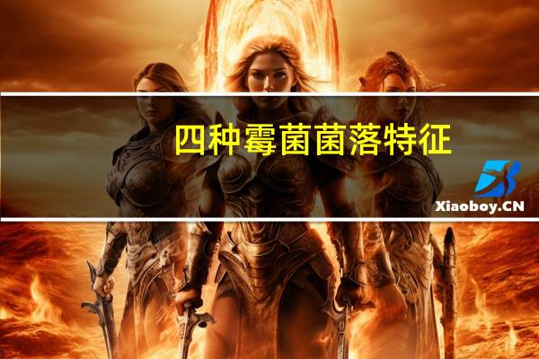 四种霉菌菌落特征
