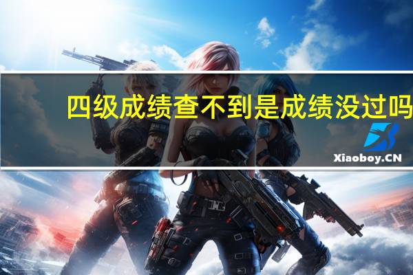四级成绩查不到是成绩没过吗