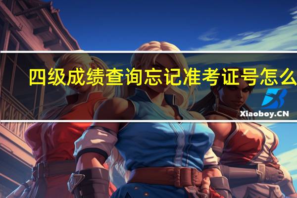 四级成绩查询忘记准考证号怎么办