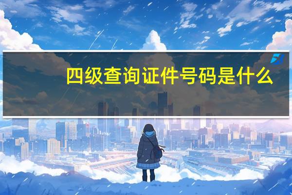 四级查询证件号码是什么