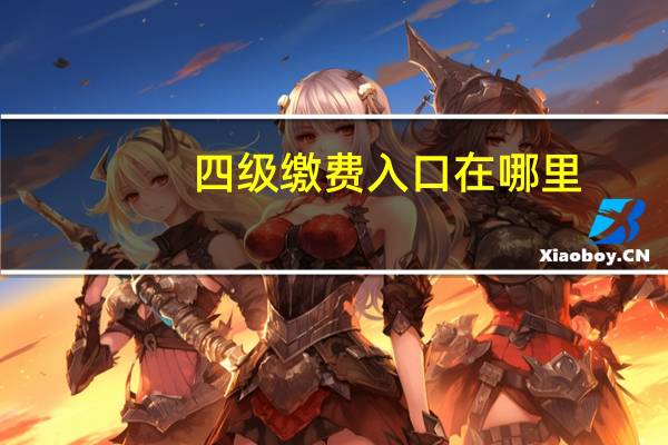 四级缴费入口在哪里
