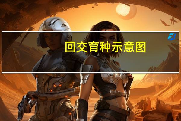 回交育种示意图（回交）