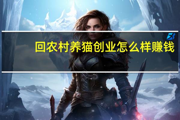 回农村养猫创业怎么样赚钱