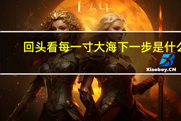 回头看每一寸大海下一步是什么？