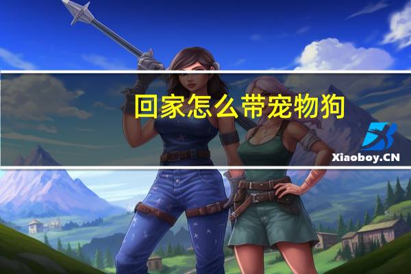 回家怎么带宠物狗