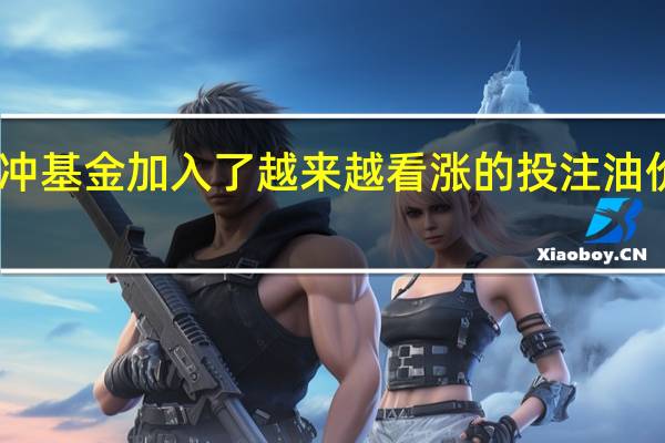 因对冲基金加入了越来越看涨的投注 油价恢复上涨