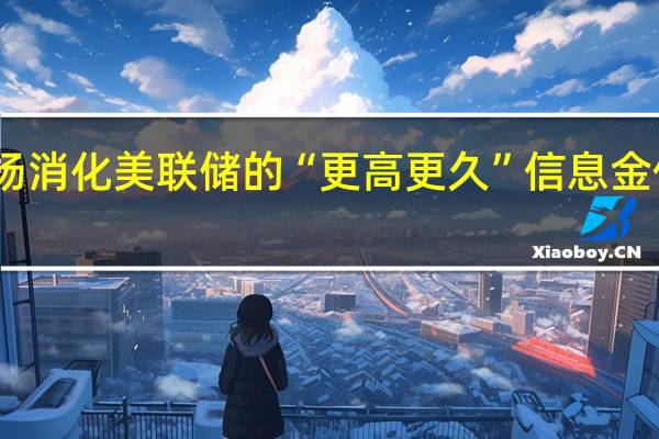 因市场消化美联储的“更高更久”信息 金价跌势难止
