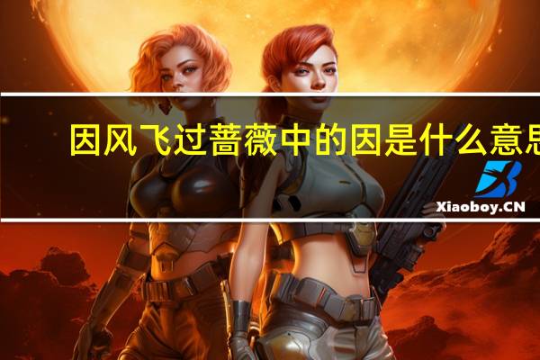 因风飞过蔷薇中的因是什么意思