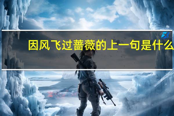 因风飞过蔷薇的上一句是什么