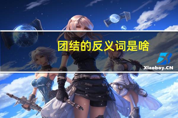 团结的反义词是啥（团结的反义词）