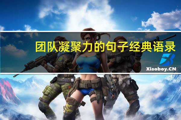 团队凝聚力的句子经典语录（团队凝聚力的句子）