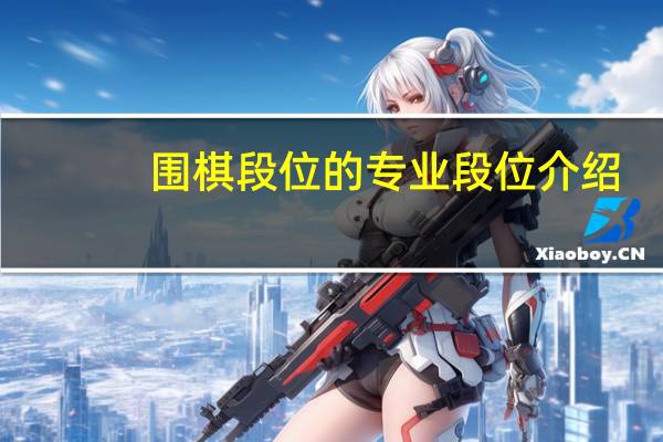 围棋段位的专业段位介绍