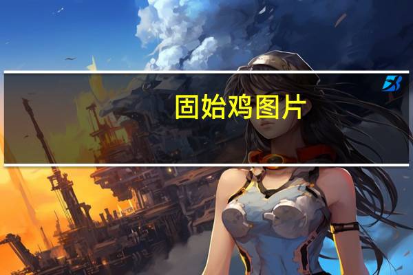 固始鸡图片(固始鸡)