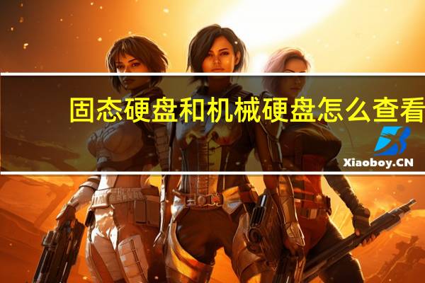 固态硬盘和机械硬盘怎么查看（固态硬盘和机械硬盘怎么一起用）