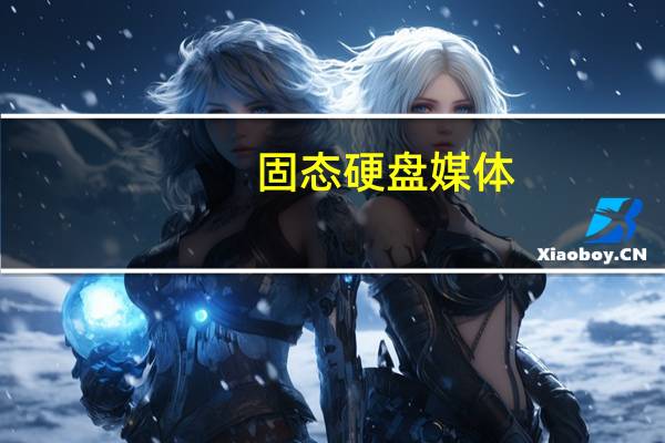 固態(tài)硬盤媒體