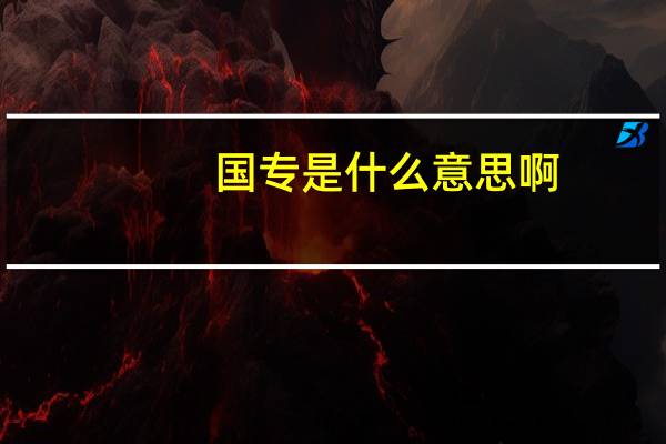 国专是什么意思啊