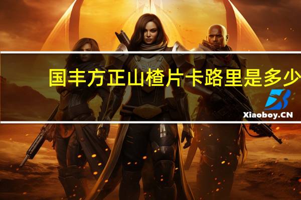 国丰 方正山楂片卡路里是多少