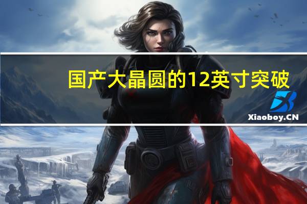 国产大晶圆的12英寸突破：上海新升已出货超100万片
