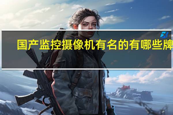 国产监控摄像机有名的有哪些牌子。