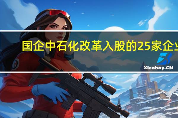 国企中石化改革入股的25家企业