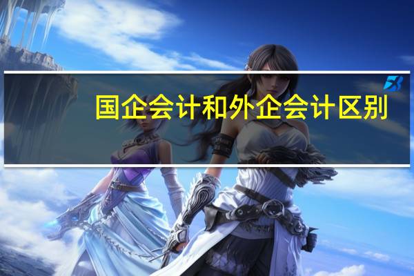 国企会计和外企会计区别