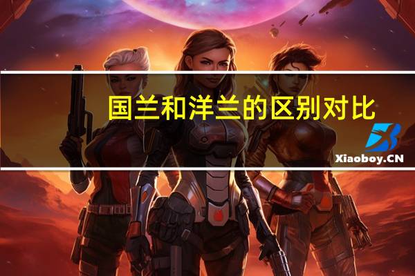 国兰和洋兰的区别对比