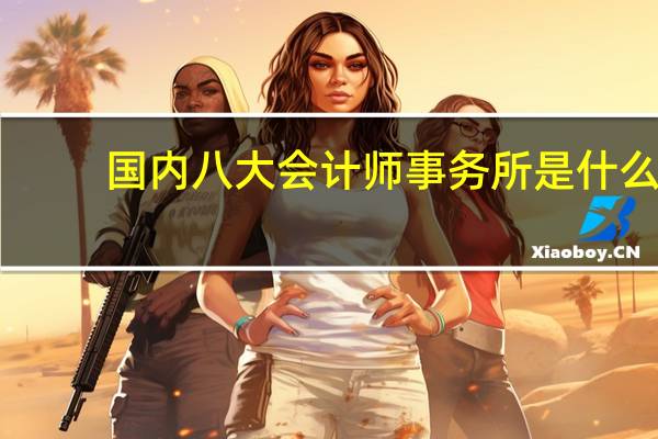 国内八大会计师事务所是什么