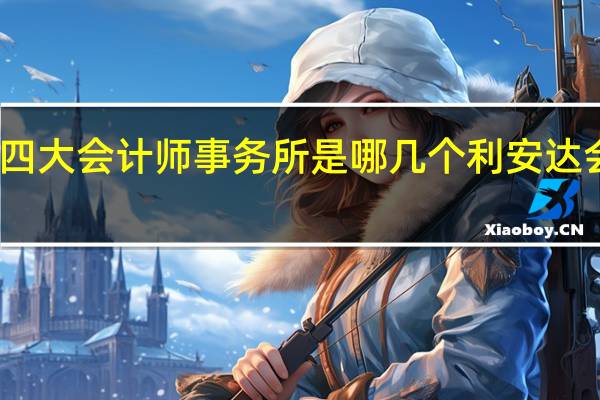 国内前四大会计师事务所是哪几个 利安达会计师事务所