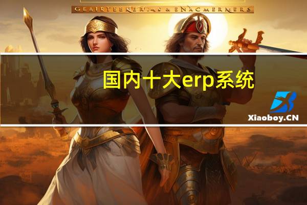国内十大erp系统