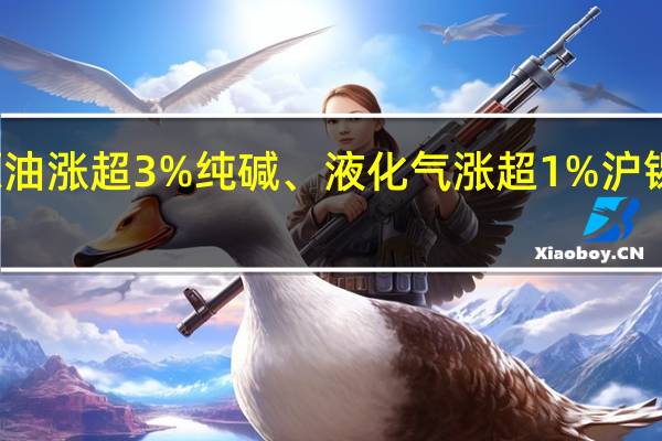 国内商品期市开盘涨跌不一原油涨超3%纯碱、液化气涨超1%沪锡跌超2%淀粉、玉米、沪锌跌超1%