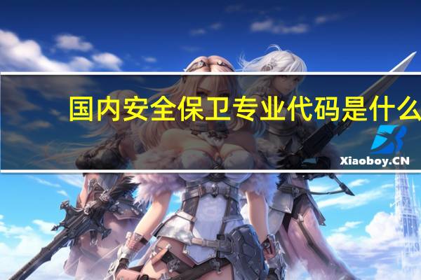 国内安全保卫专业代码是什么