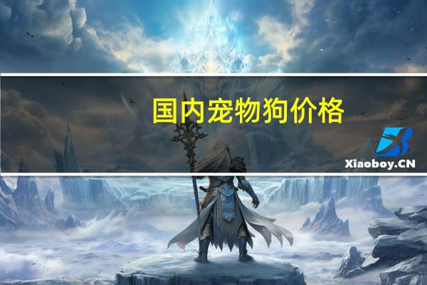国内宠物狗价格