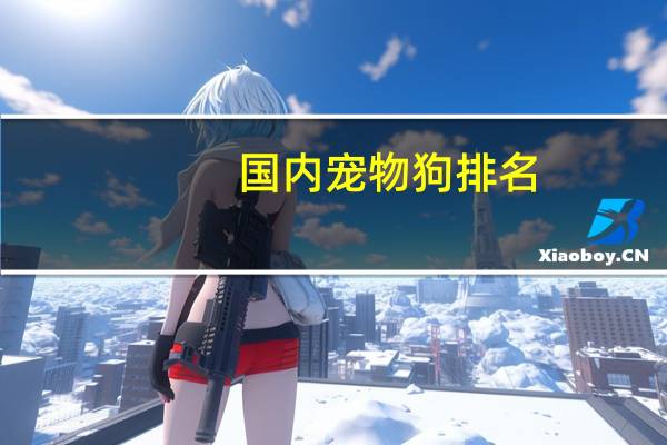 国内宠物狗排名