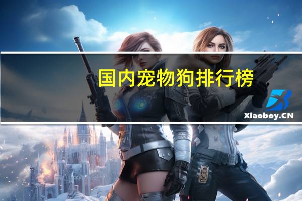 国内宠物狗排行榜