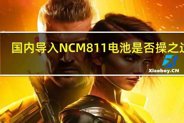 国内导入NCM811电池 是否操之过急?
