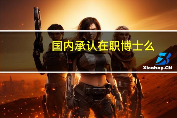 国内承认在职博士么