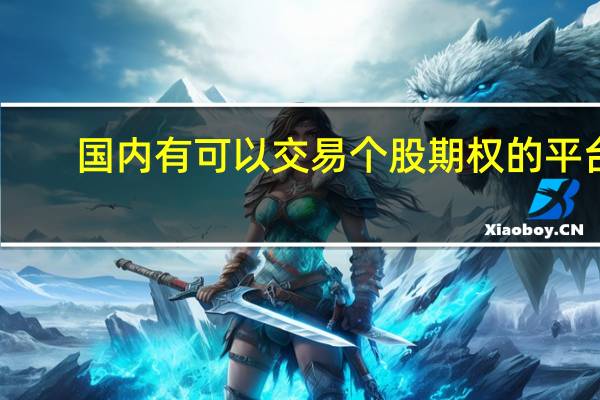 国内有可以交易个股期权的平台