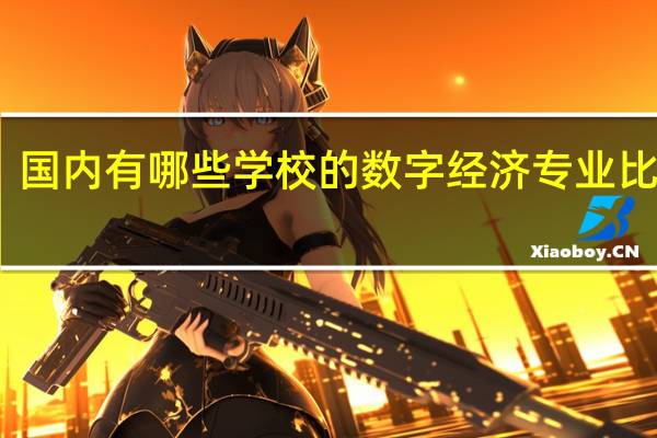 国内有哪些学校的数字经济专业比较好