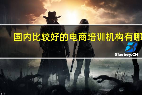 国内比较好的电商培训机构有哪些
