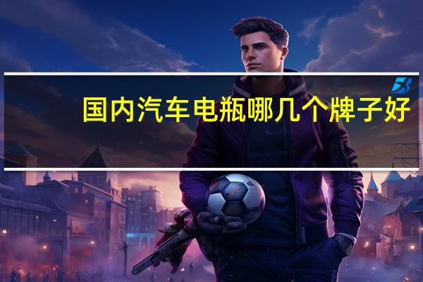 国内汽车电瓶哪几个牌子好