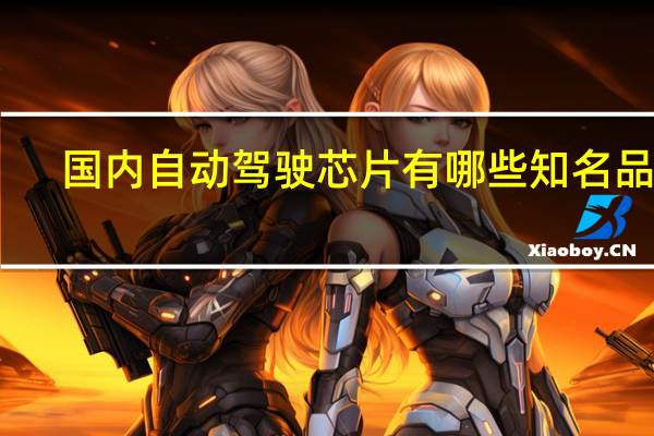 国内自动驾驶芯片有哪些知名品牌