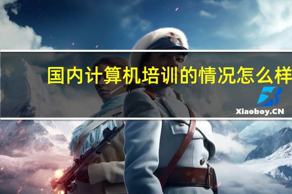 国内计算机培训的情况怎么样，有必要线下报班吗