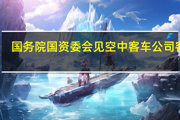 国务院国资委会见空中客车公司客人