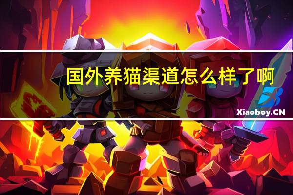 国外养猫渠道怎么样了啊