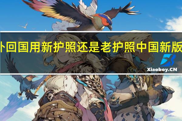 国外回国用新护照还是老护照 中国新版护照图片