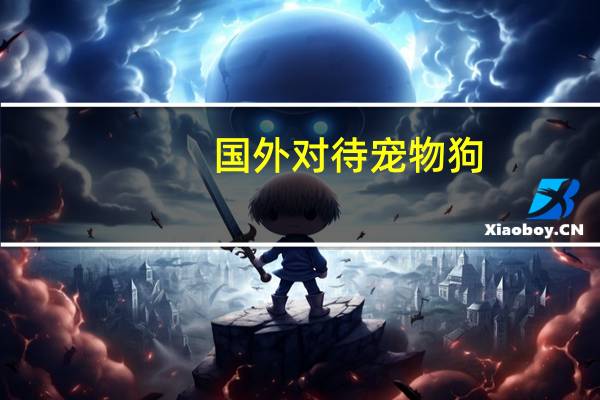 国外对待宠物狗