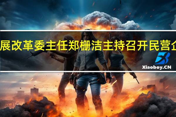 国家发展改革委主任郑栅洁主持召开民营企业家座谈会