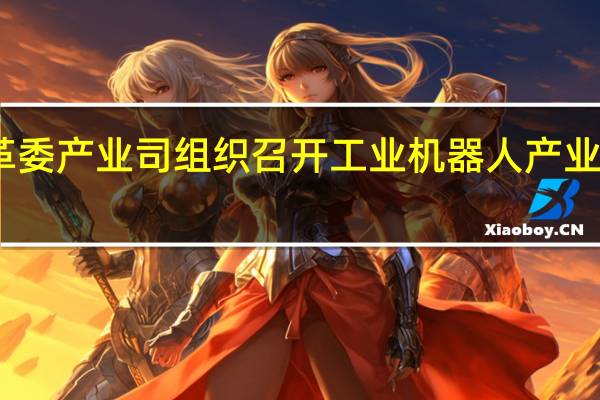 国家发展改革委产业司组织召开工业机器人产业高质量发展现场会