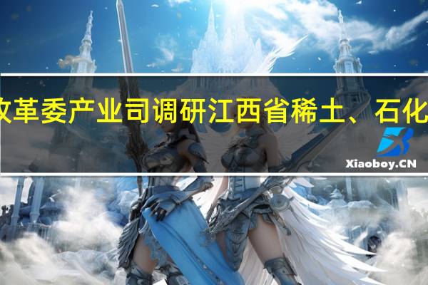 国家发展改革委产业司调研江西省稀土、石化等产业发展情况