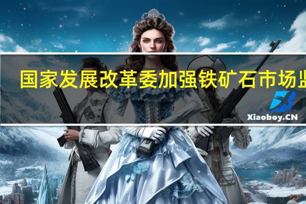 国家发展改革委加强铁矿石市场监管